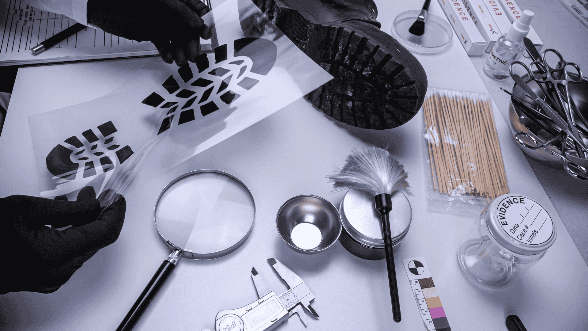 Specialised Investigation Services